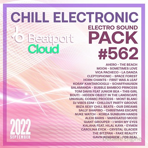 Chill Electronic: Sound Pack #562 (2022)