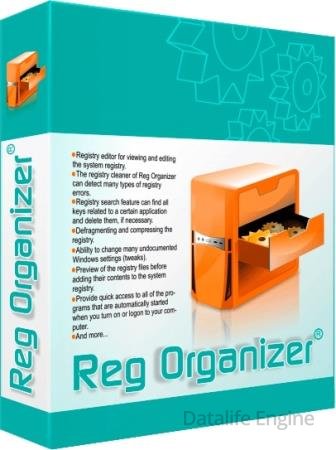 Reg Organizer 9.10 Final + Portable