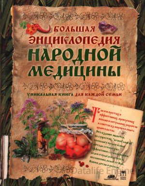 Большая энциклопедия народной медицины (2004)