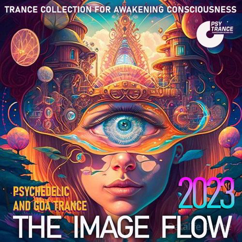 The Image Flow (2023)
