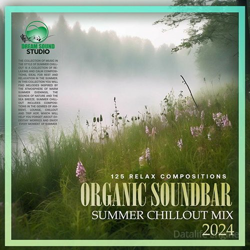 Organic Soundbar (2024)