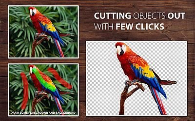Teorex PhotoScissors 9.3.0 Portable