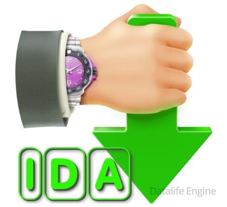 Internet Download Accelerator Pro 7.3.1.1745 + Portable