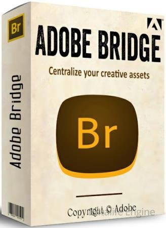 Adobe Bridge 2026 16.0.5.19 [Multi/Rus]